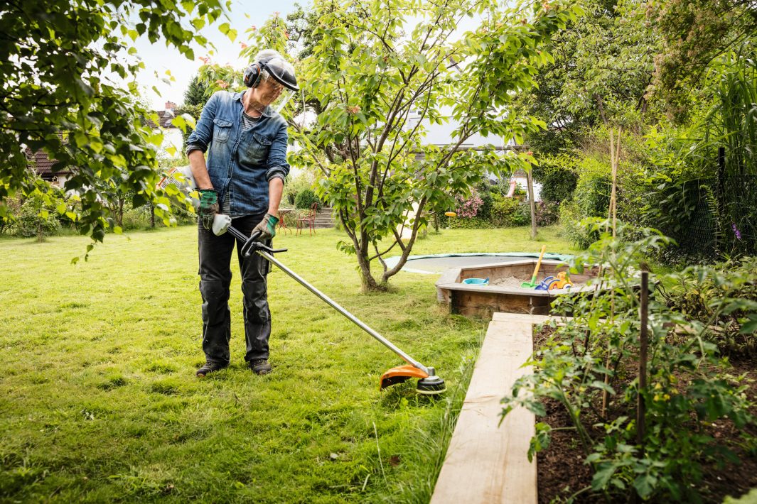FS 56 Brushcutter